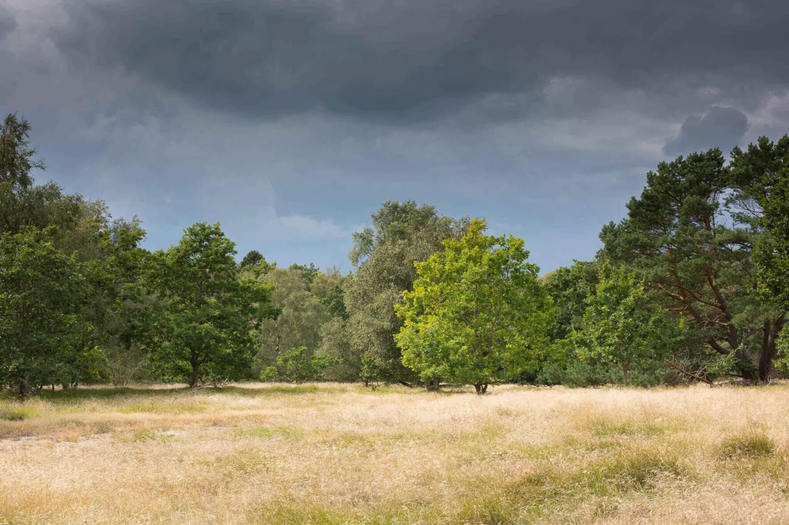 5 sterren vakantie huis in Vejby-Buitenlucht