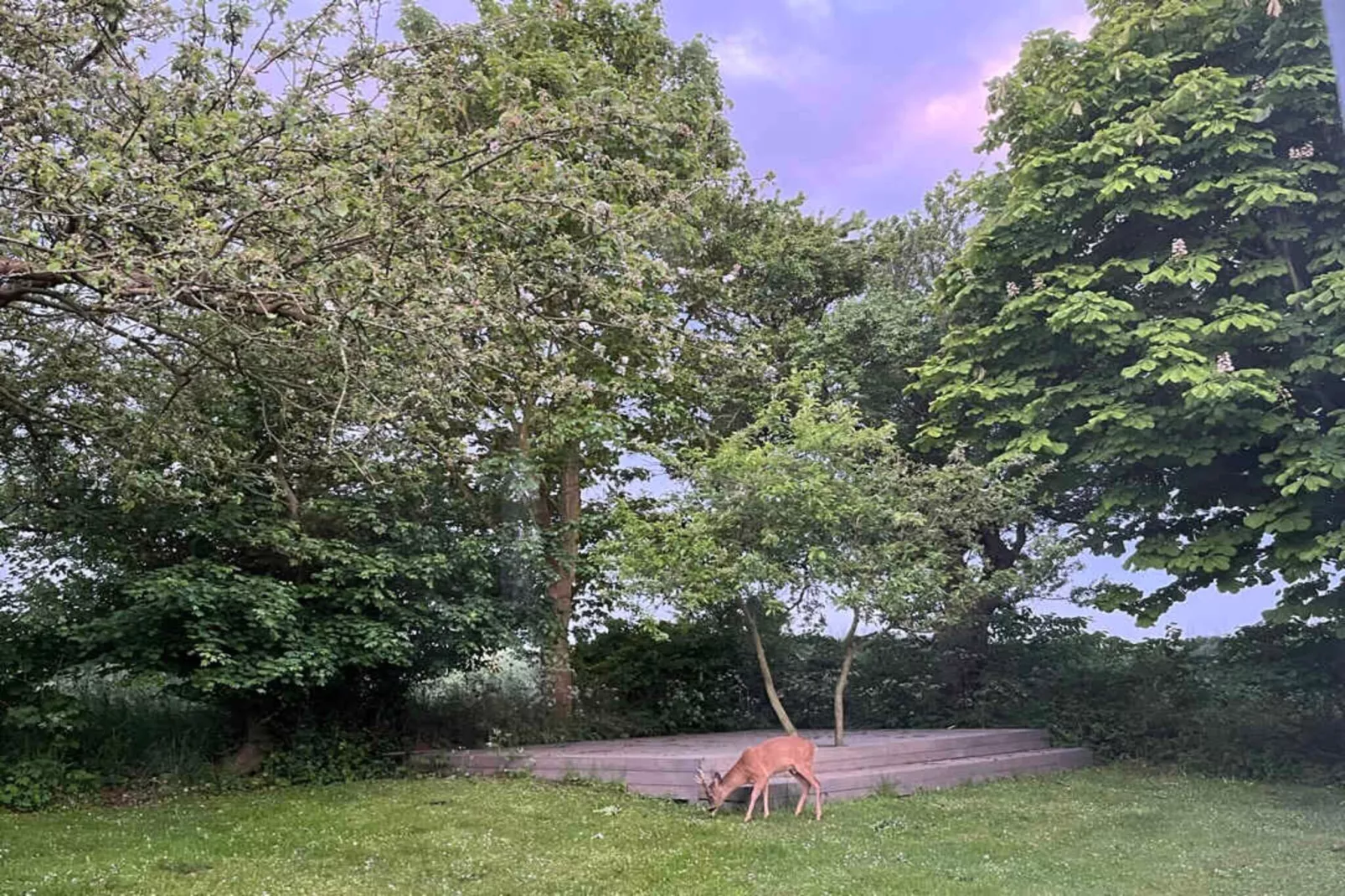 5 sterren vakantie huis in Borre-Buitenlucht