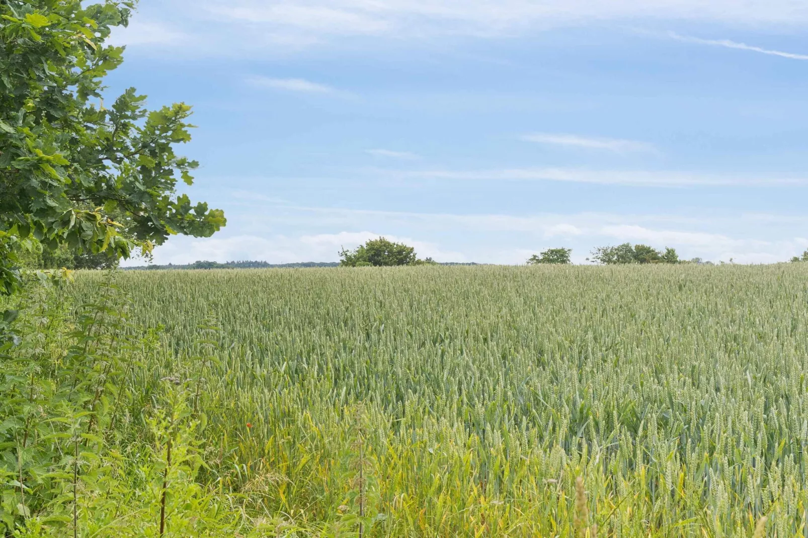 5 sterren vakantie huis in Vesterborg-Buitenlucht