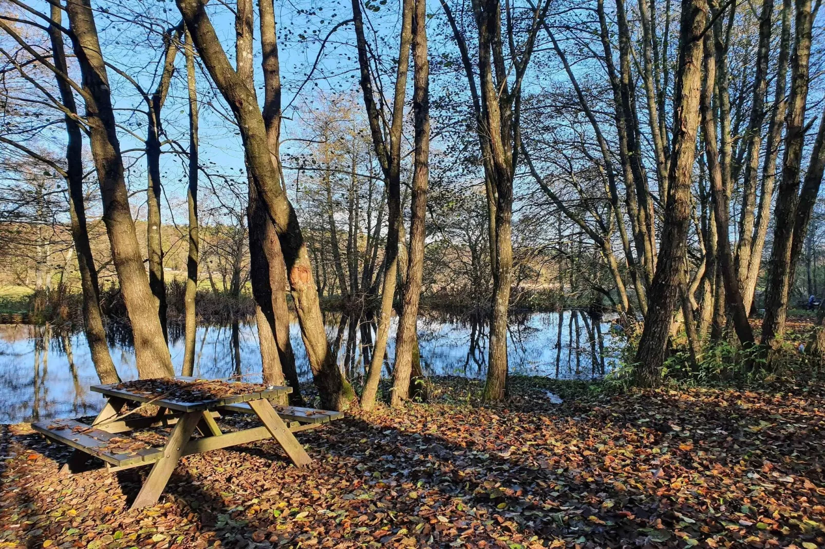 5 sterren vakantie huis in Gjern