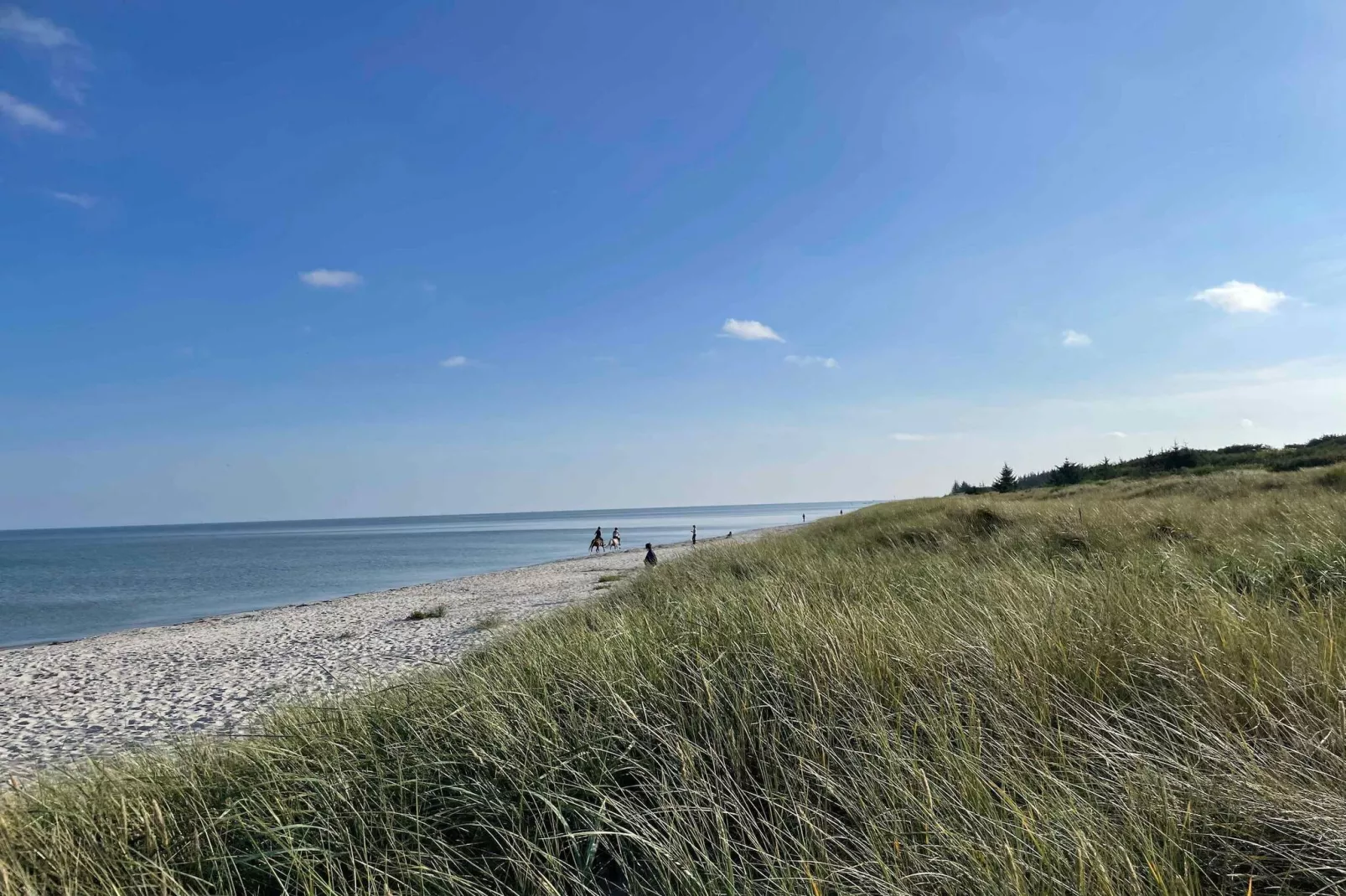 5 sterren vakantie huis in Hals-Buitenlucht