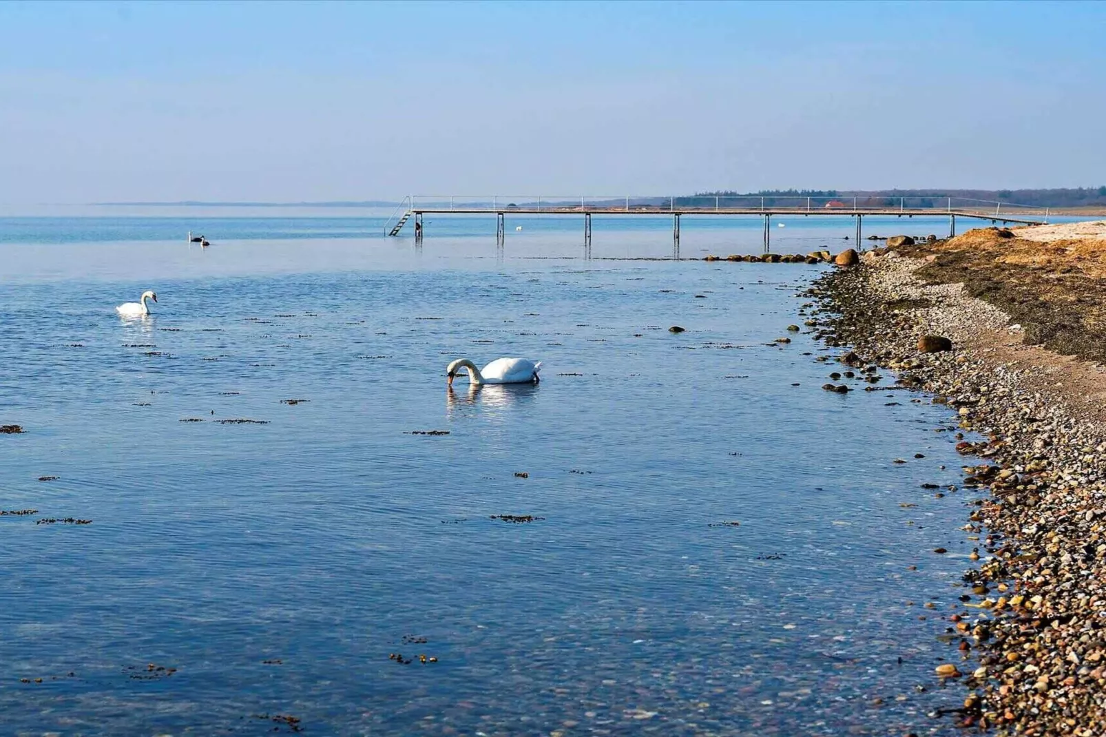 5 sterren vakantie huis in Vordingborg-Waterzicht