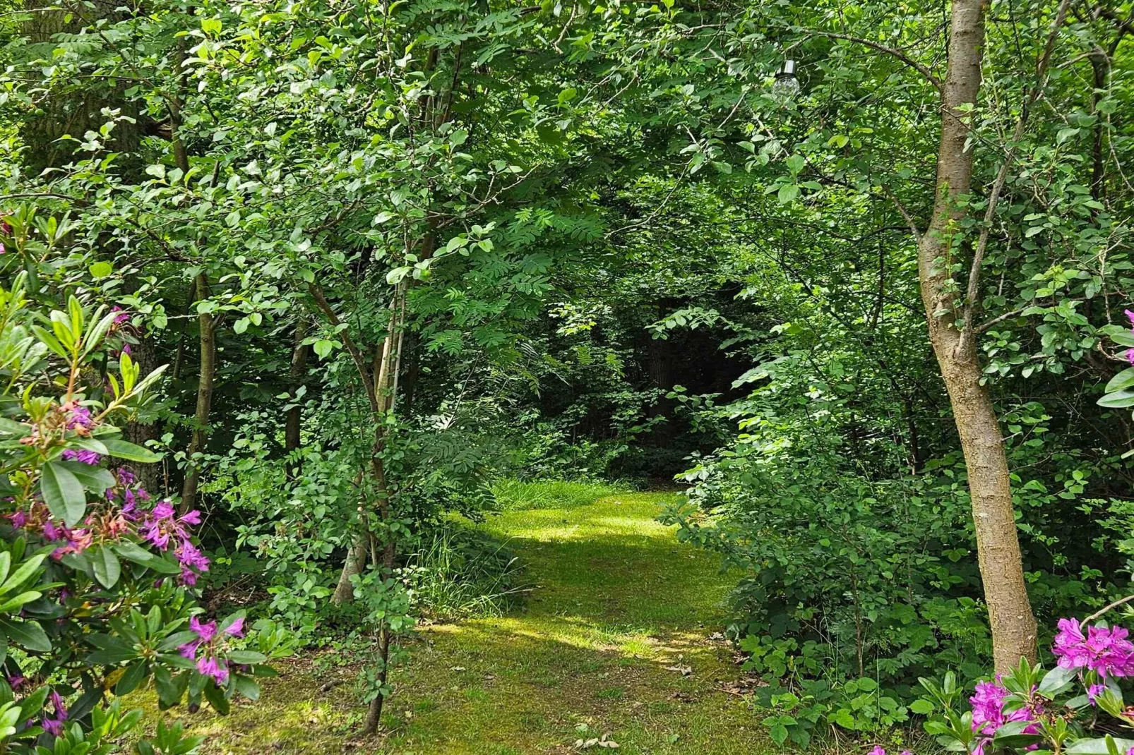 4 sterren vakantie huis in Asnæs-Buitenlucht