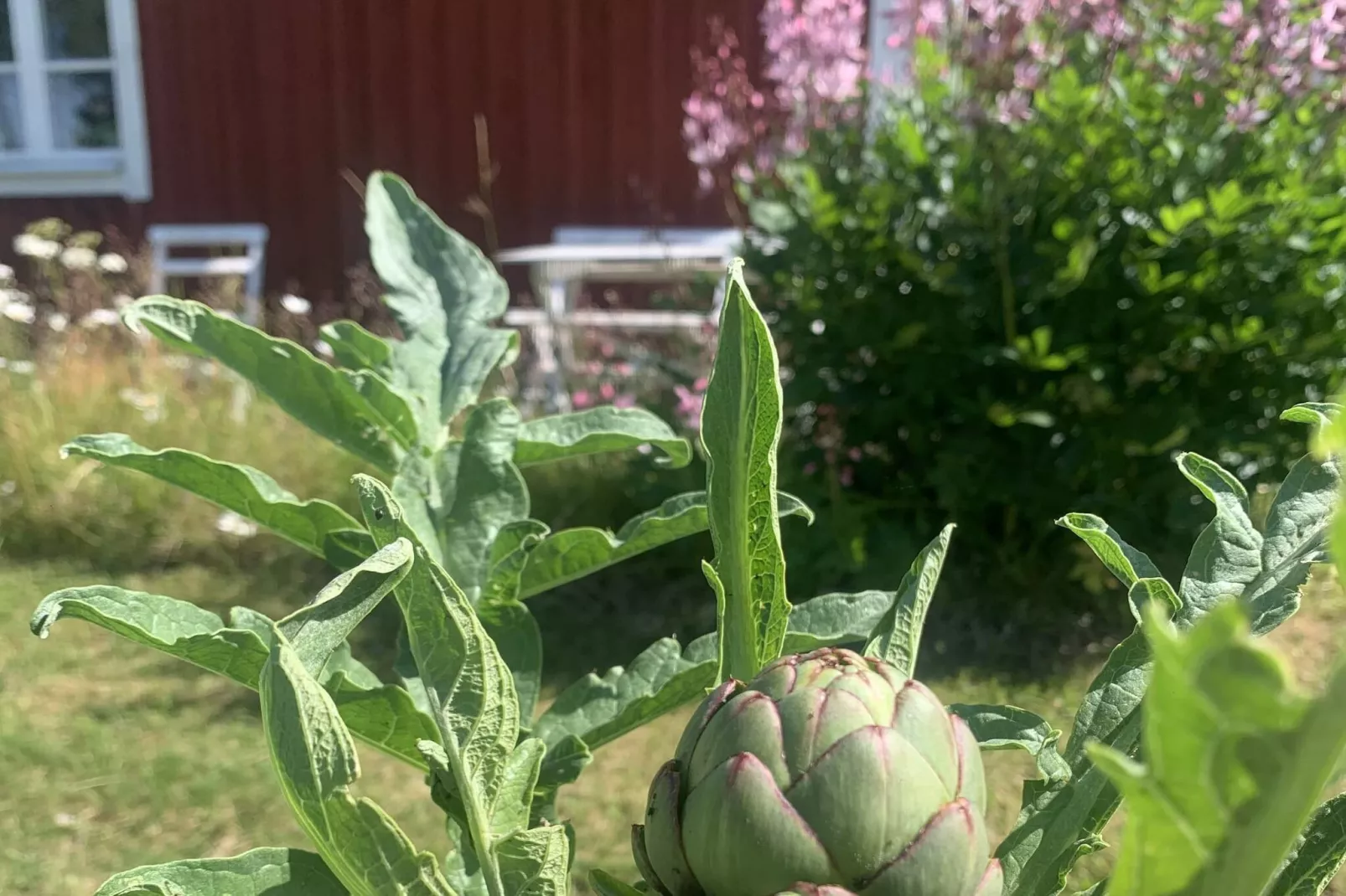 5 Personen vakantie huis in FLISBY-Buitenlucht