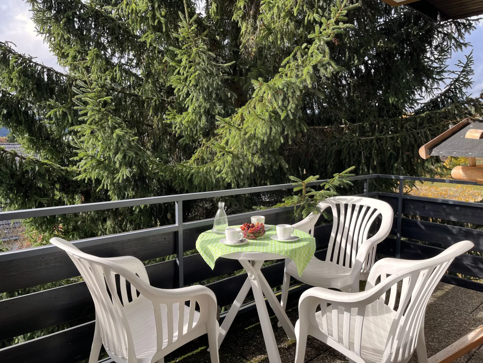 Sonnige Aussichten-Buiten