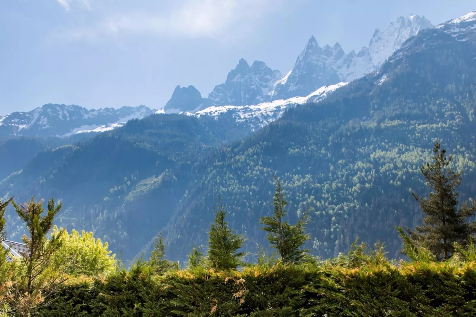 Floria-Uitzicht zomer