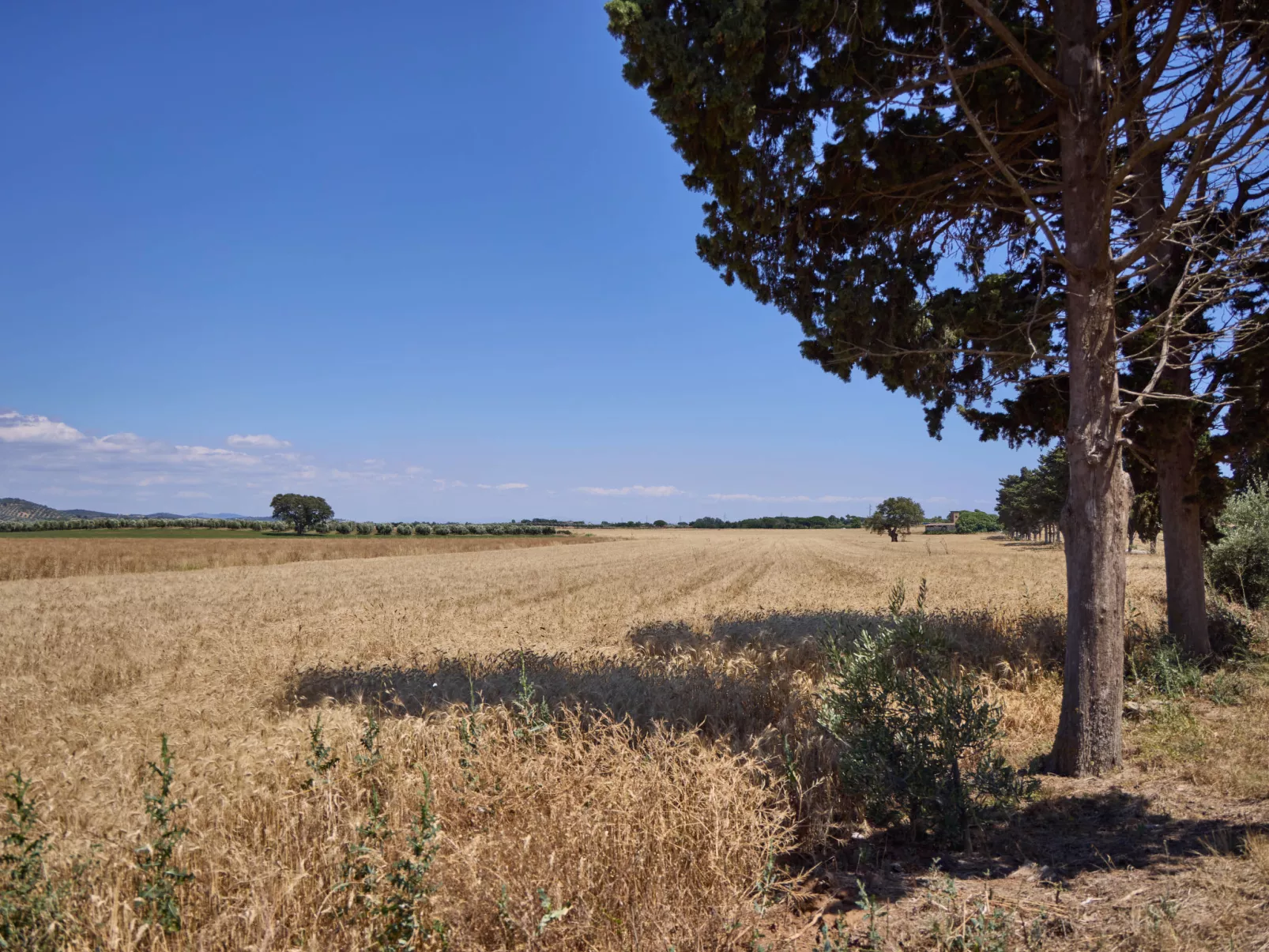 Costa D'Argento-Buiten