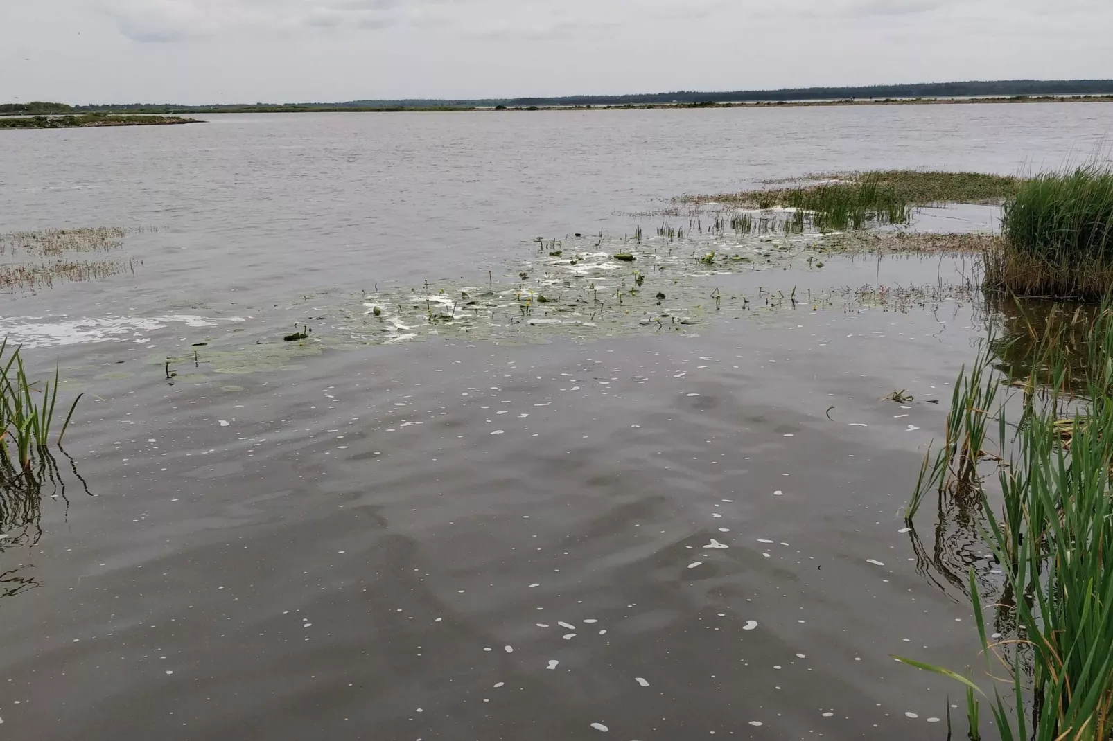 Kustsereniteit bij Henne Strand-By Traum-Waterzicht