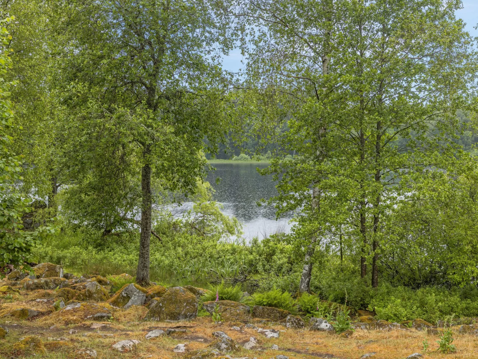 Forneboda-Buiten