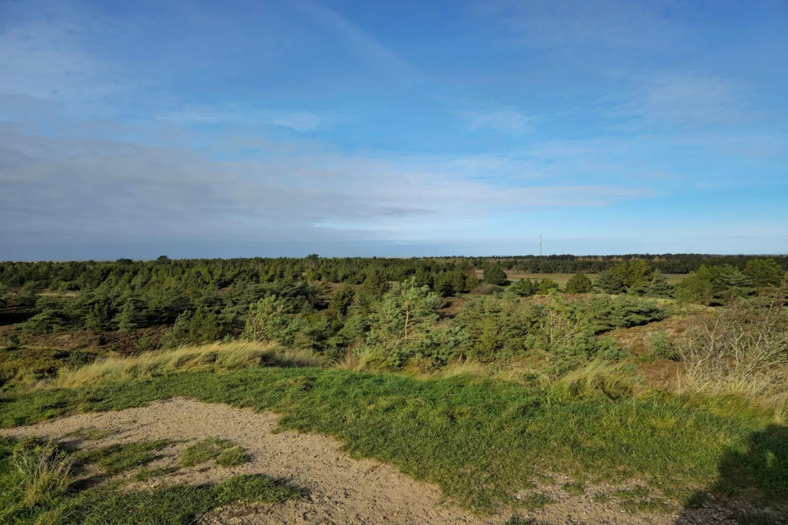 Rustiek rietgedekt huis op Romo-By Traum-Niet-getagd