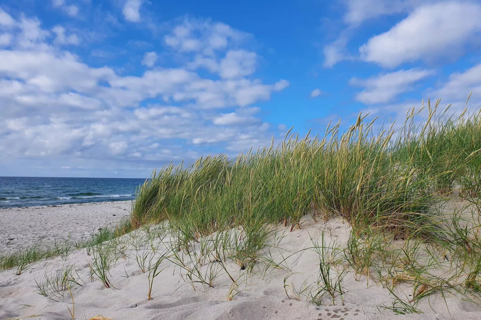 Gezellig toevluchtsoord in Rorvig Haven-By Traum-Waterzicht