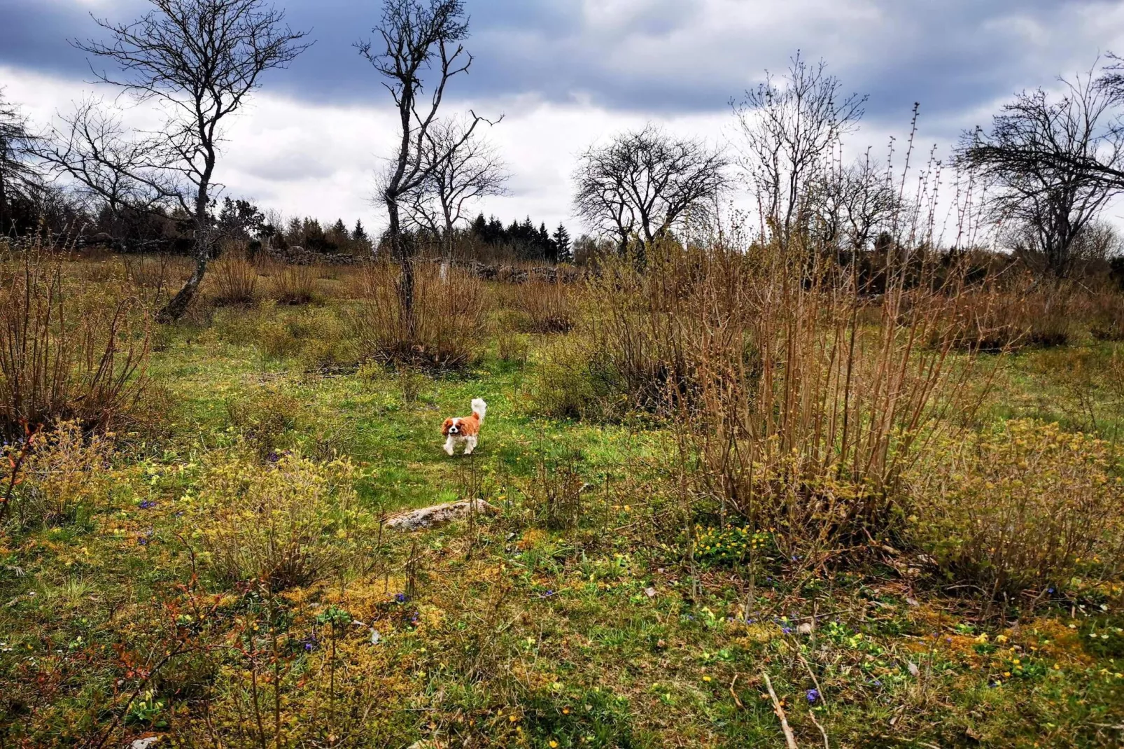 10 persoons vakantie huis in FÄRJESTADEN-Niet-getagd