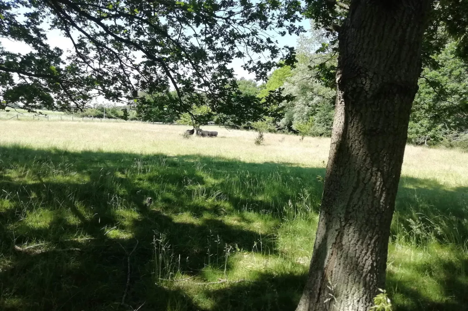 5 persoons vakantie huis in Holeby-Niet-getagd