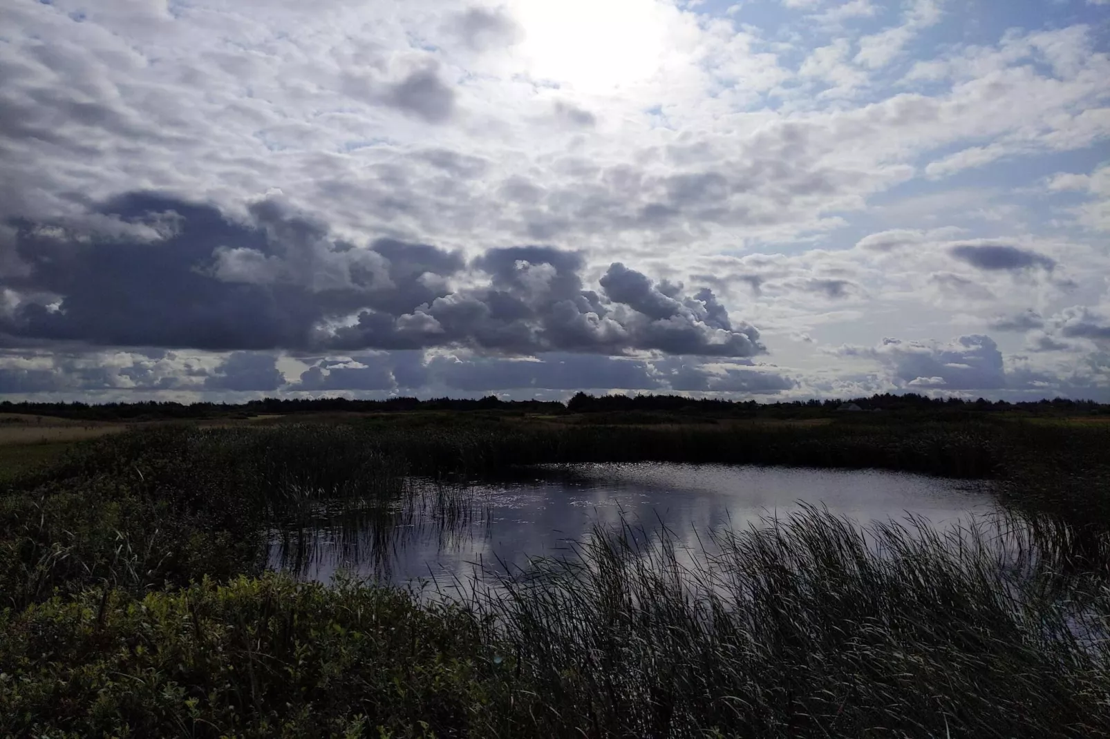 4 persoons vakantie huis in Ringkøbing-Waterzicht