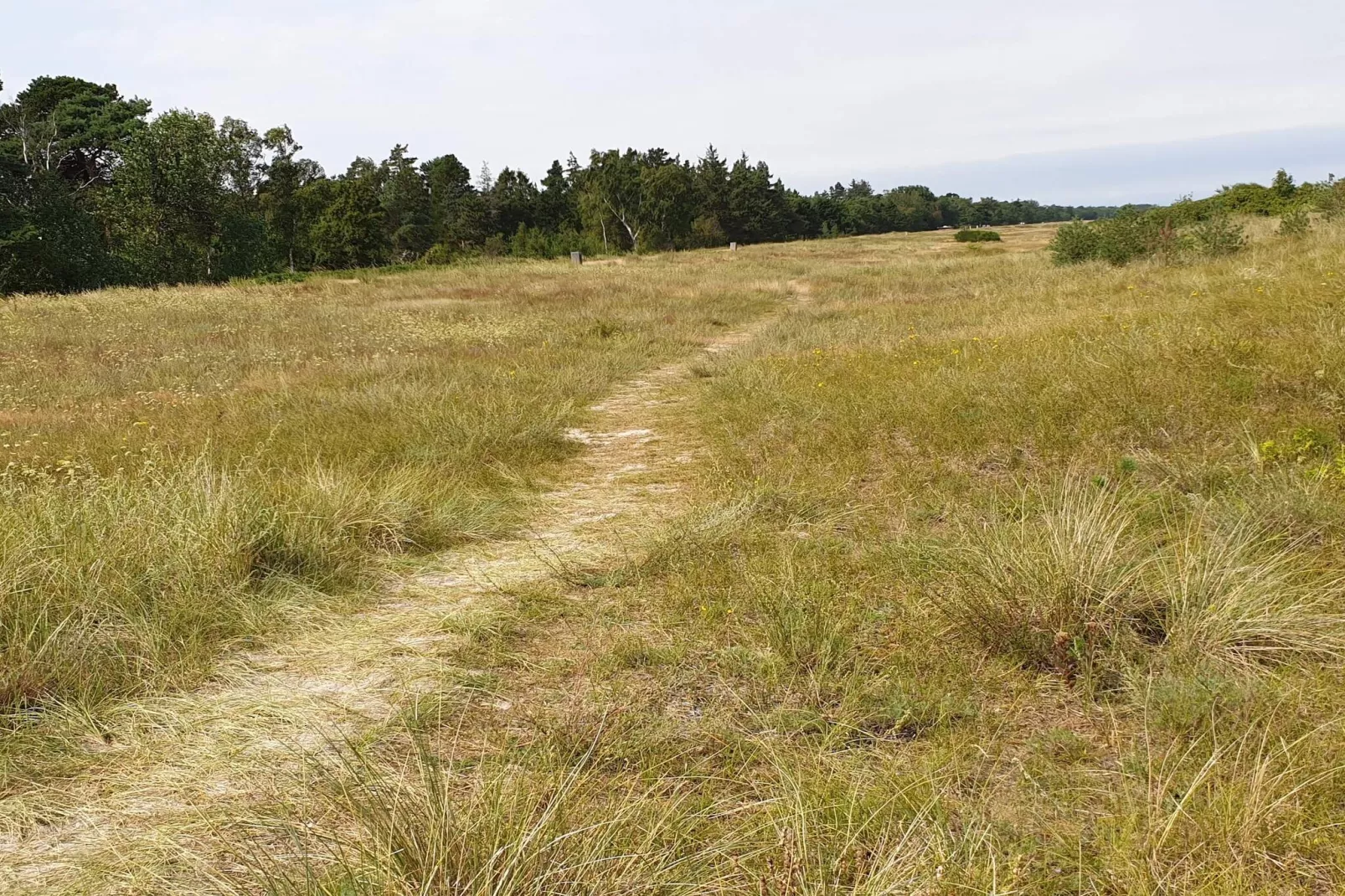 Ruim toevluchtsoord in Marielyst-By Traum-Waterzicht