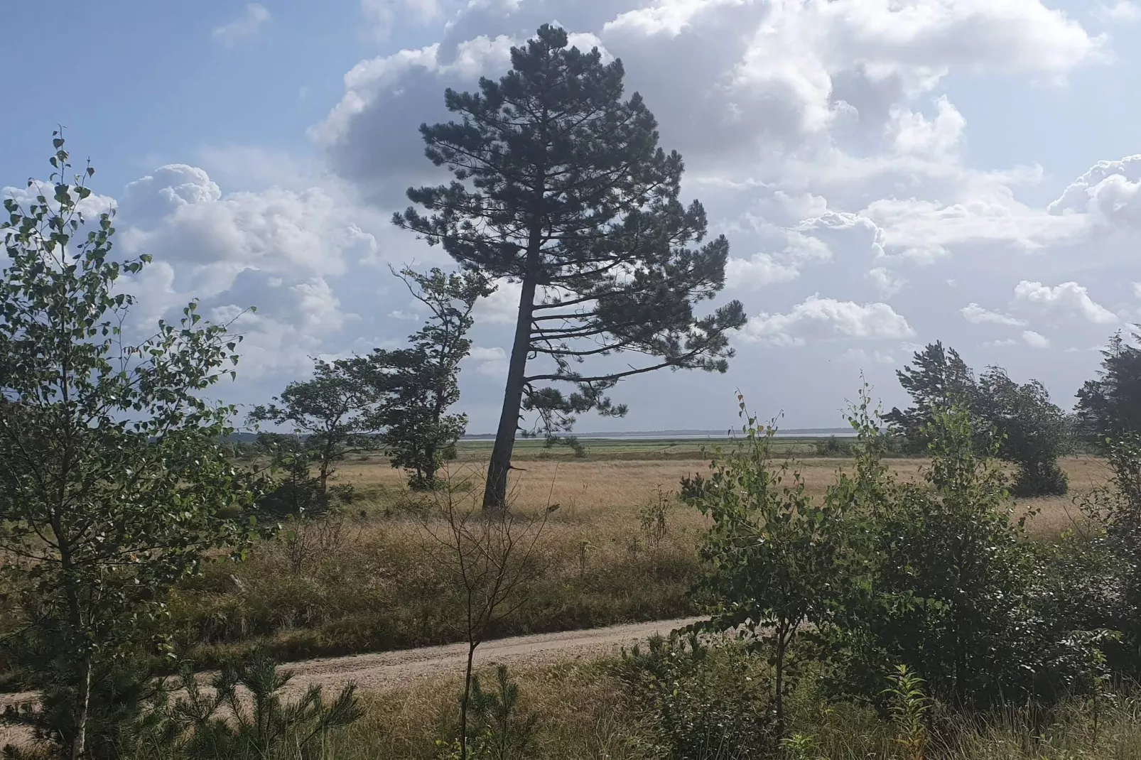 4 persoons vakantie huis in Oksbøl-Niet-getagd