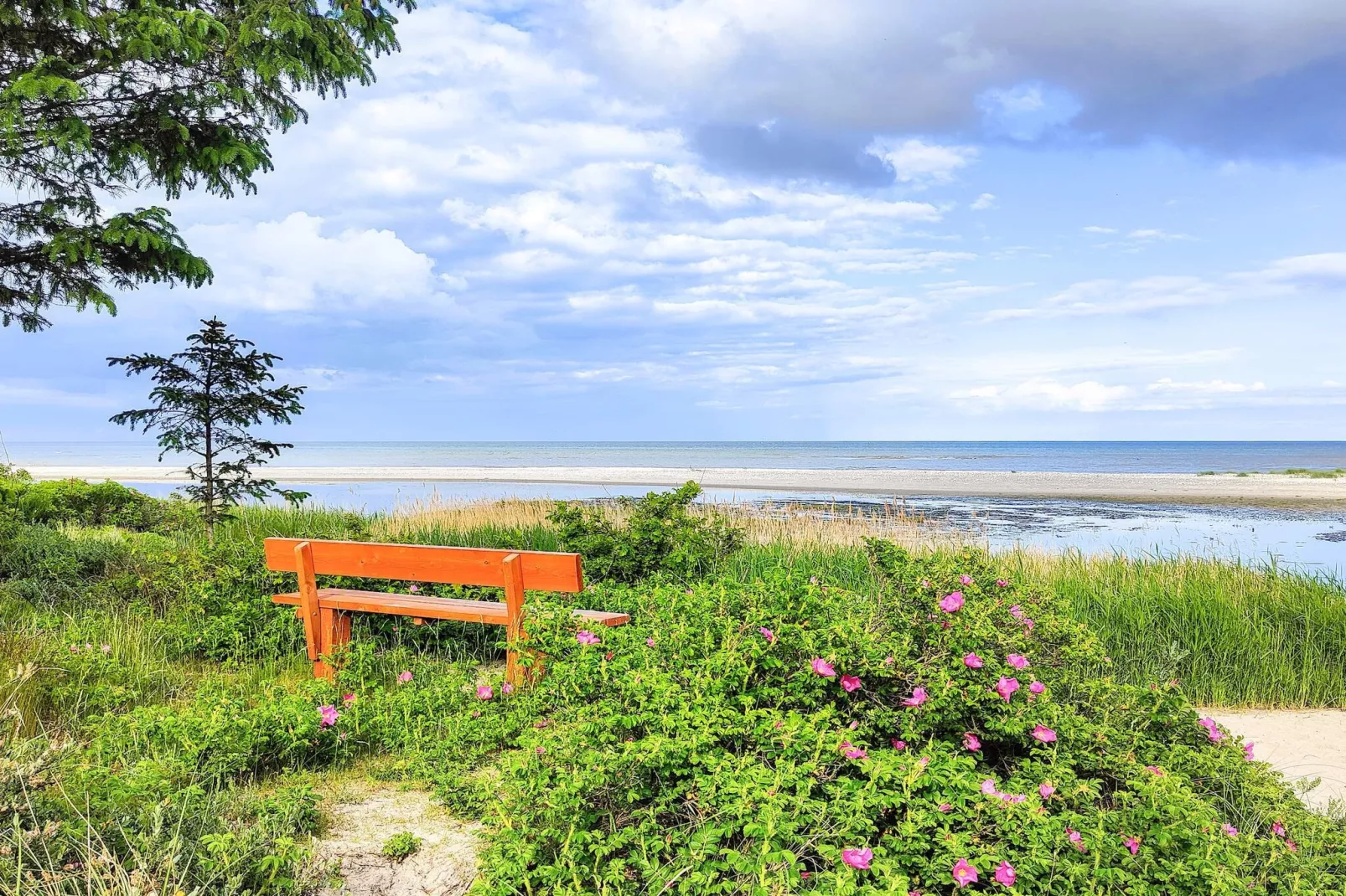 8 persoons vakantie huis in Hals-Niet-getagd