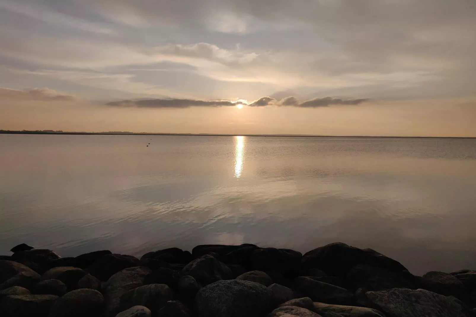 4 persoons vakantie huis in Hemmet-Waterzicht