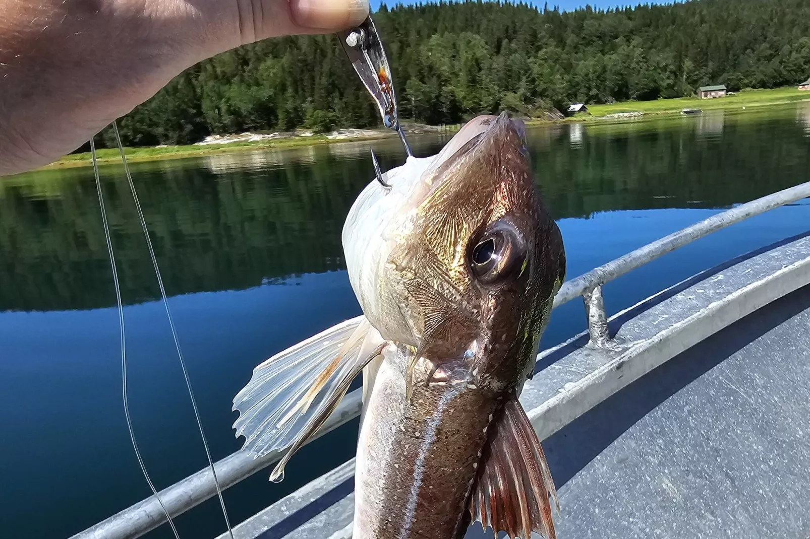 7 persoons vakantie huis in Foldereid-By Traum-Niet-getagd