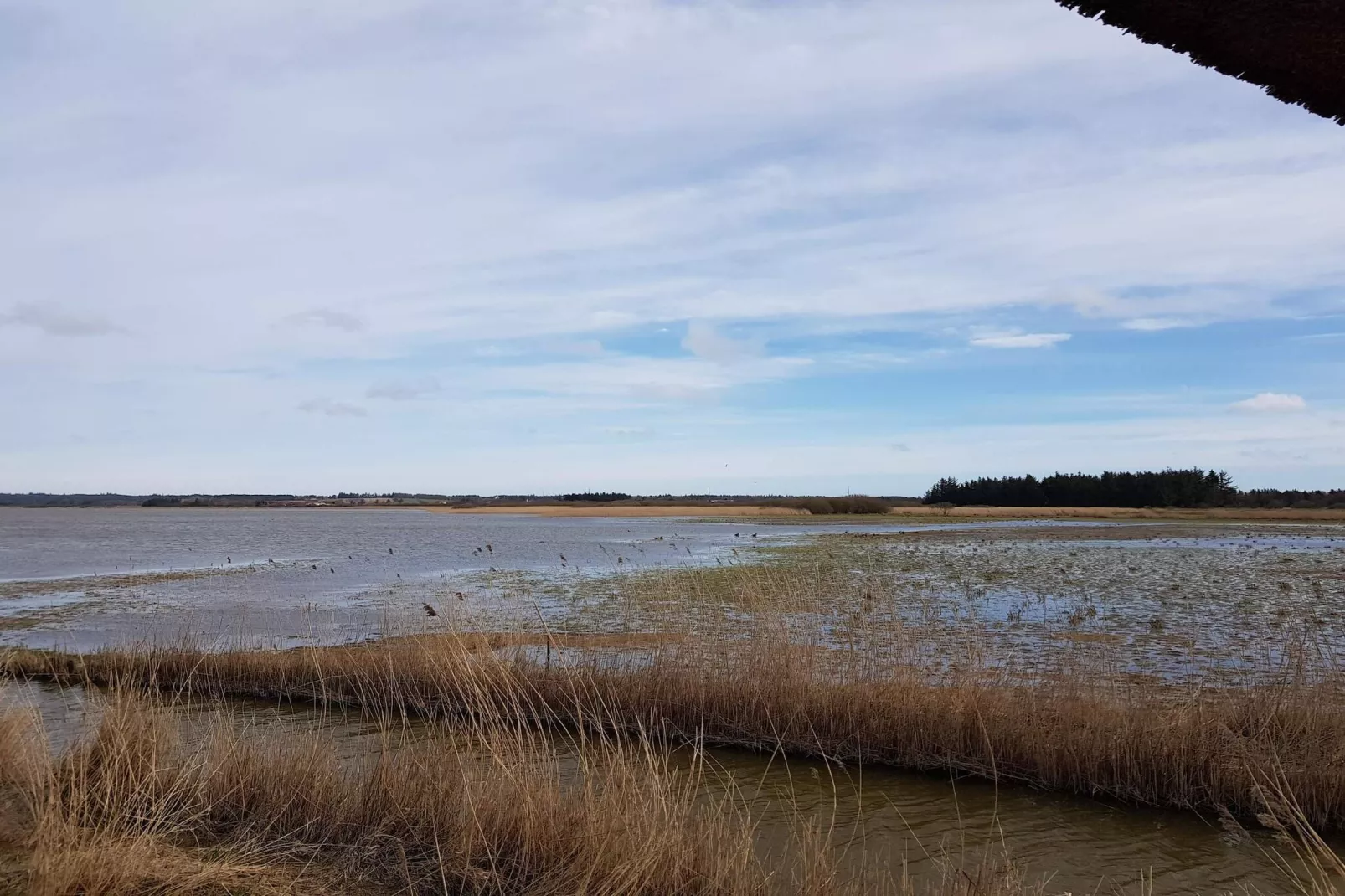 7 persoons vakantie huis in Frøstrup-Waterzicht