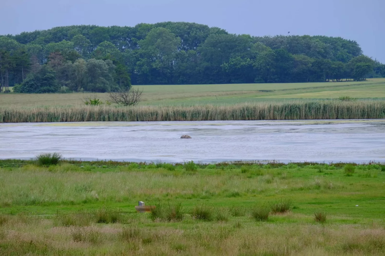 Luxe villa met zwembad -- By Traum Ferienwohnungen-Waterzicht