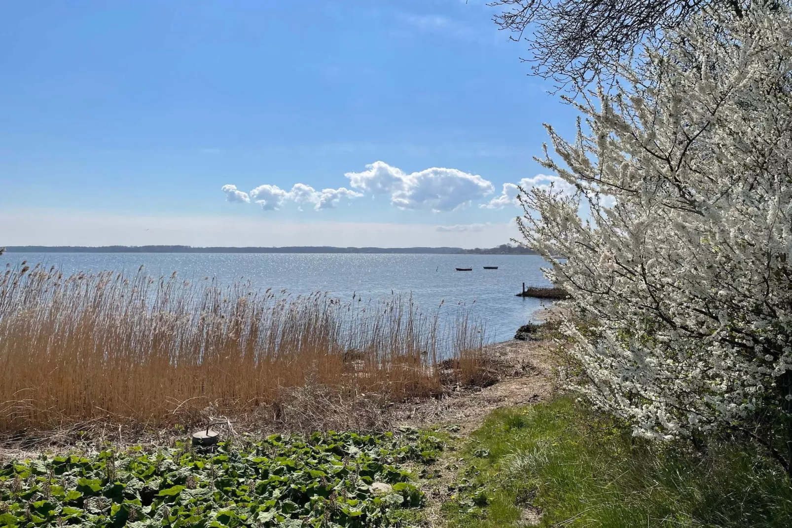 Kust ontsnapping in Praesto -- By Traum Ferienwohnungen-Waterzicht