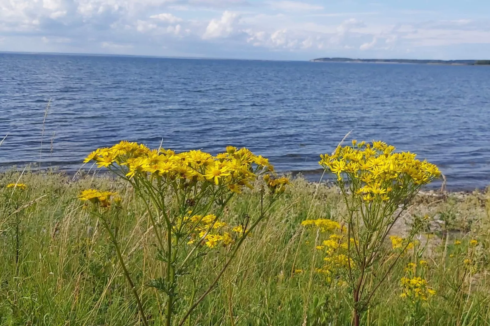 4 persoons vakantie huis in Bogense-By Traum-Waterzicht