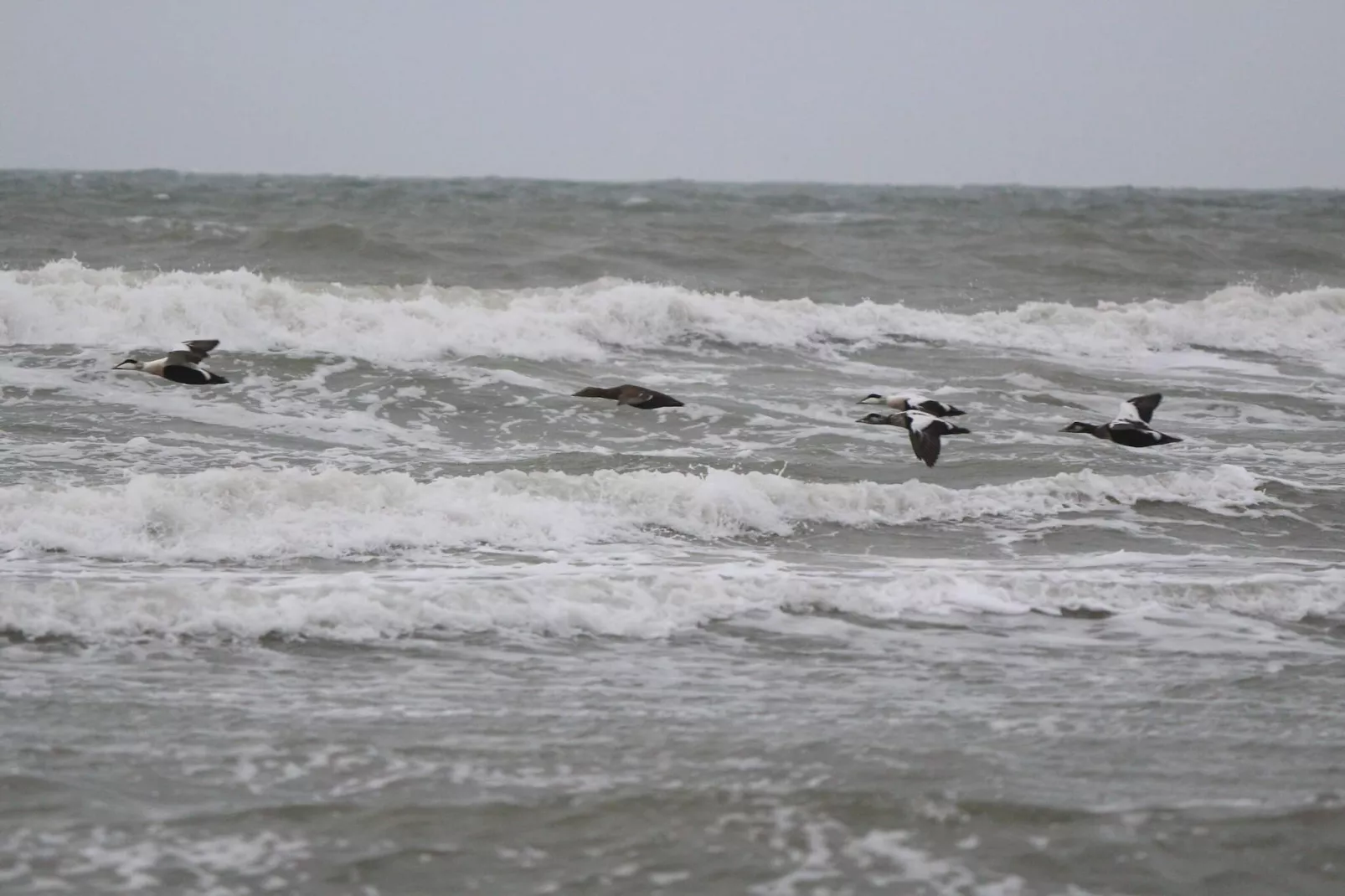 10 persoons vakantie huis in Løkken-By Traum-Waterzicht