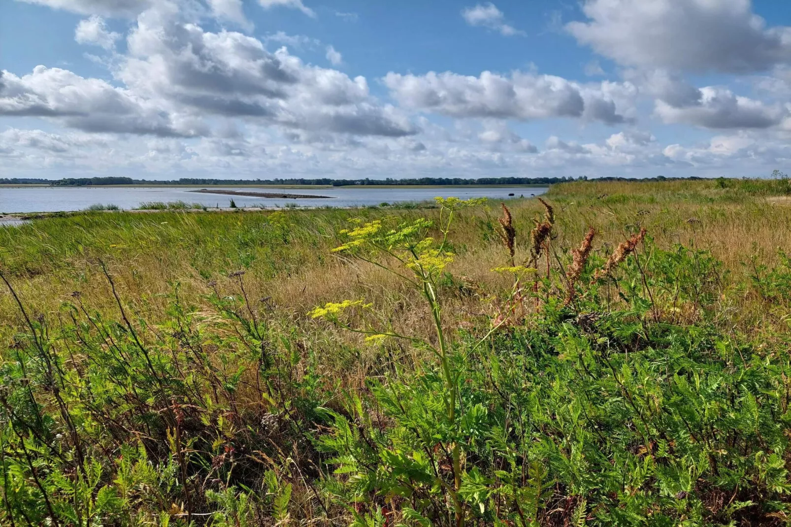 8 persoons vakantie huis in Bogense-By Traum-Waterzicht