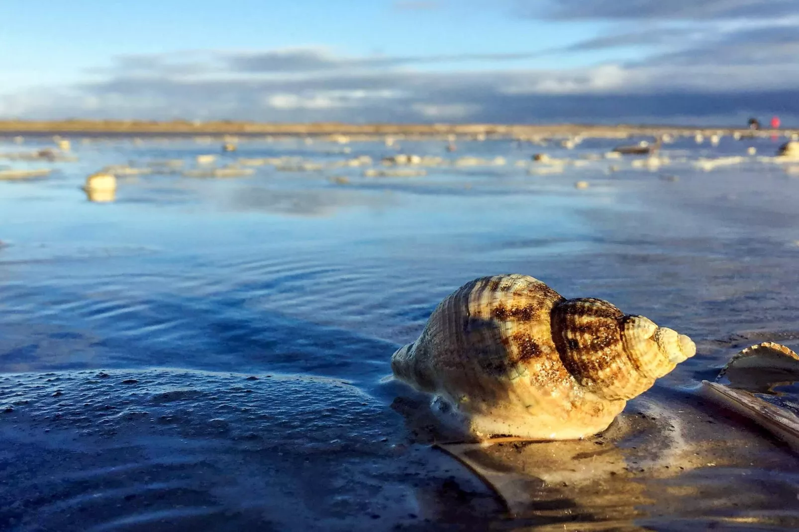 12 persoons vakantie huis in Fanø-By Traum-Waterzicht