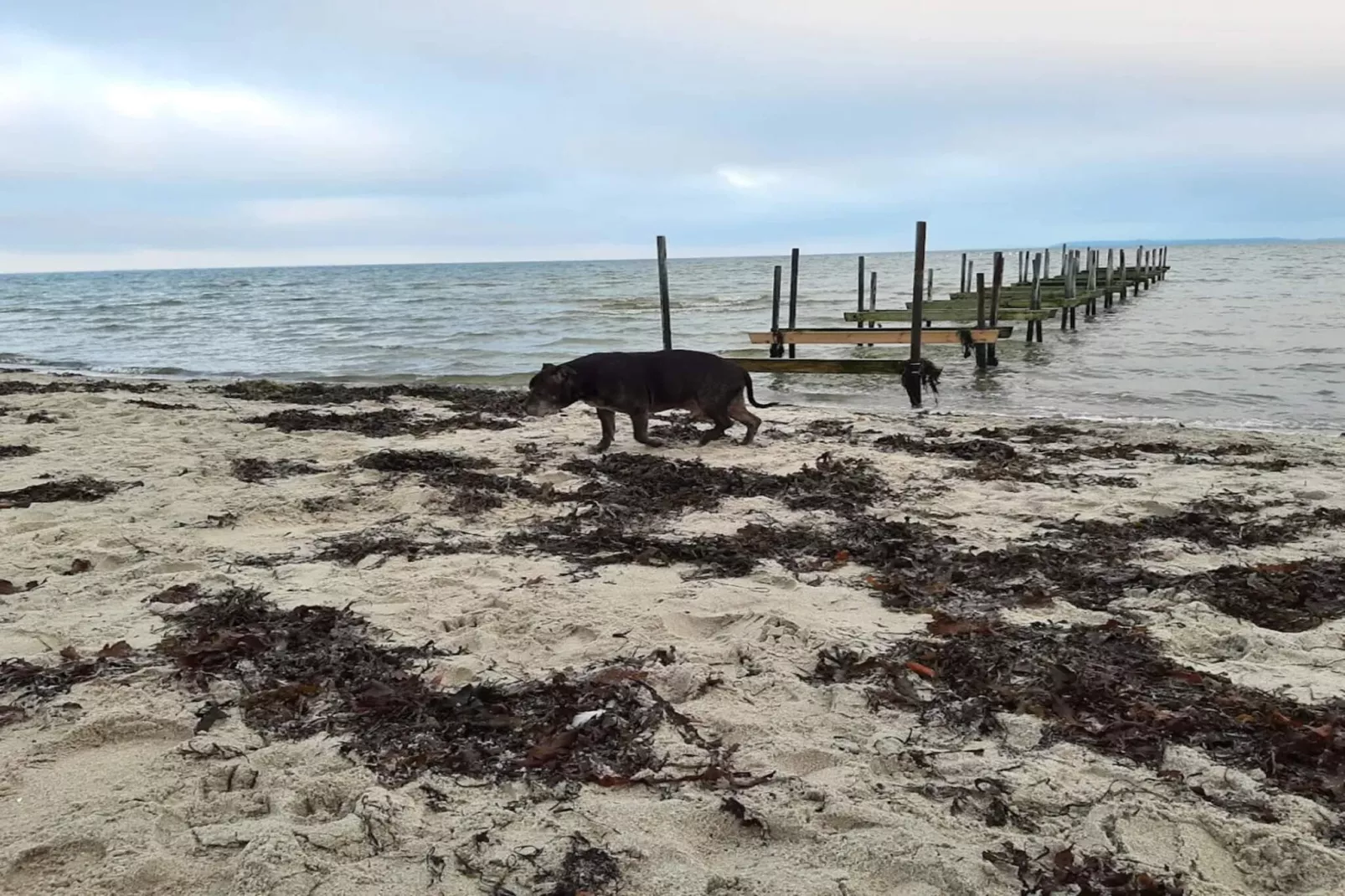 6 persoons vakantie huis in Hejls-By Traum-Waterzicht