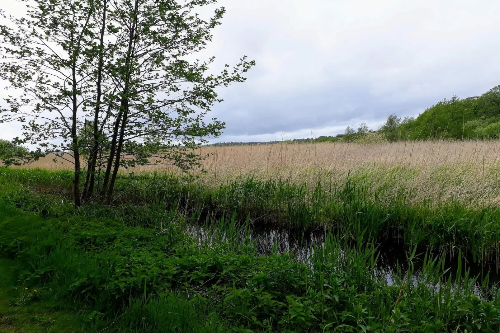 6 persoons vakantie huis in Ebeltoft-By Traum-Niet-getagd