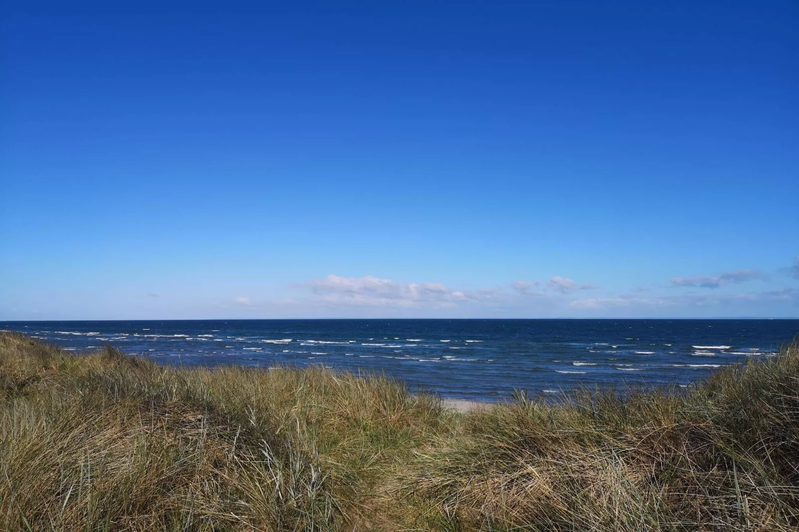 12 persoons vakantie huis in Læsø-By Traum-Waterzicht