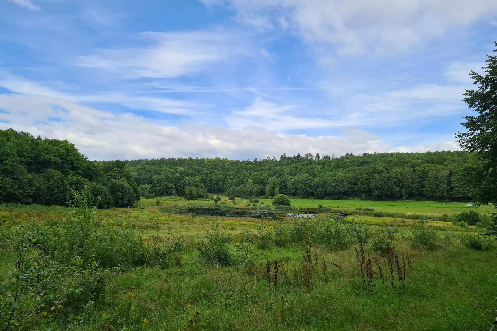 10 persoons vakantie huis in Ålbæk-By Traum-Waterzicht