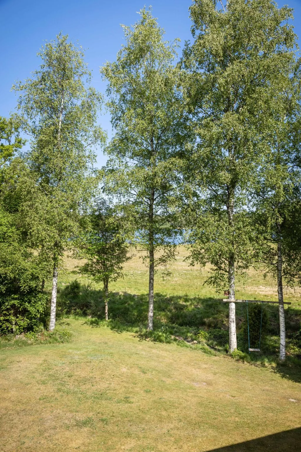 Vänneböke-Buiten