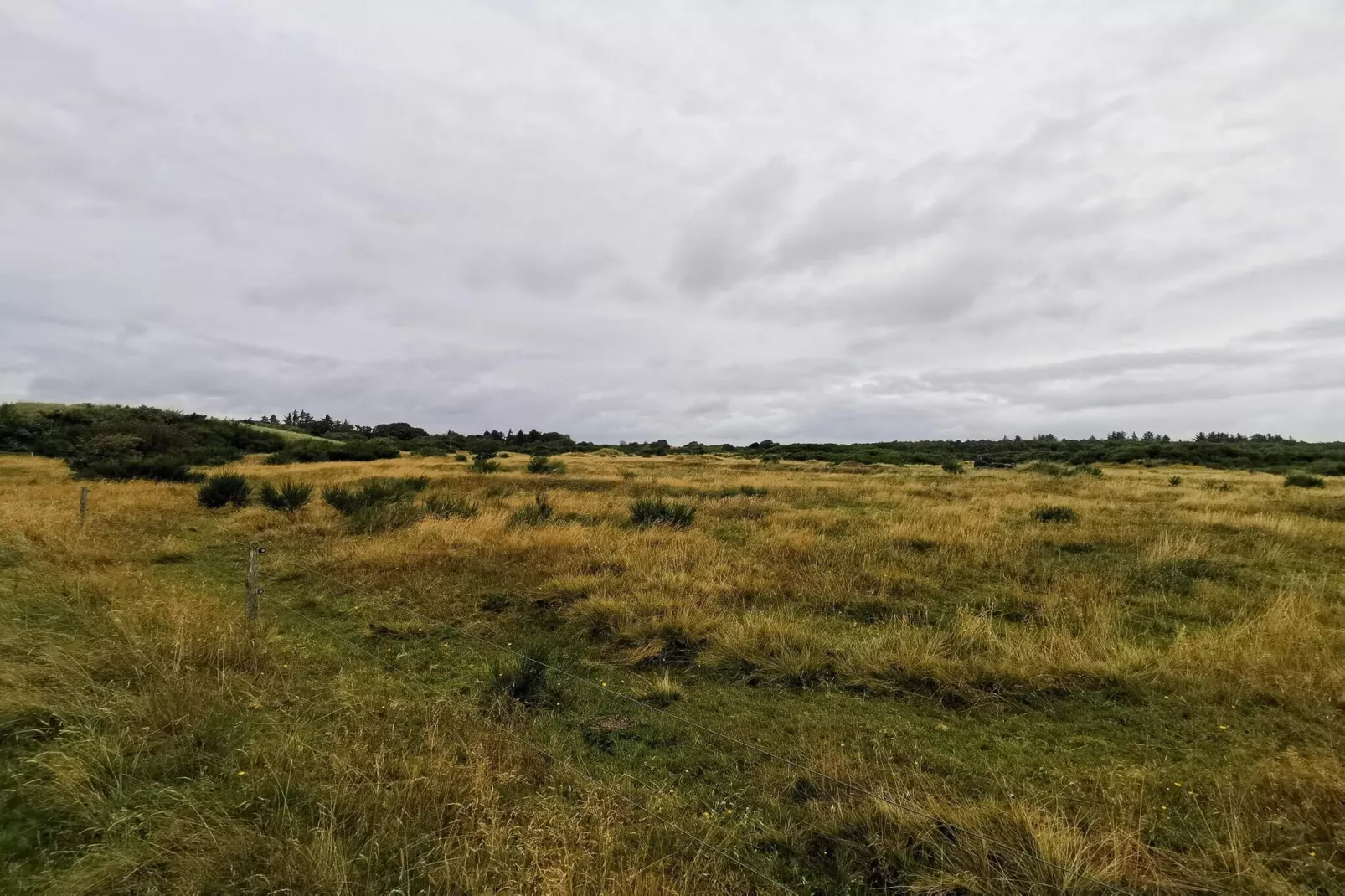 4 persoons vakantie huis in Skjern-By Traum-Niet-getagd