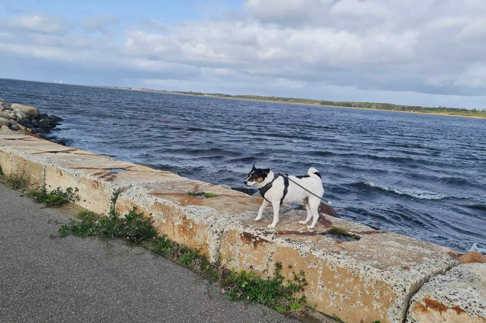 6 persoons vakantie huis in Storvorde-By Traum-Waterzicht