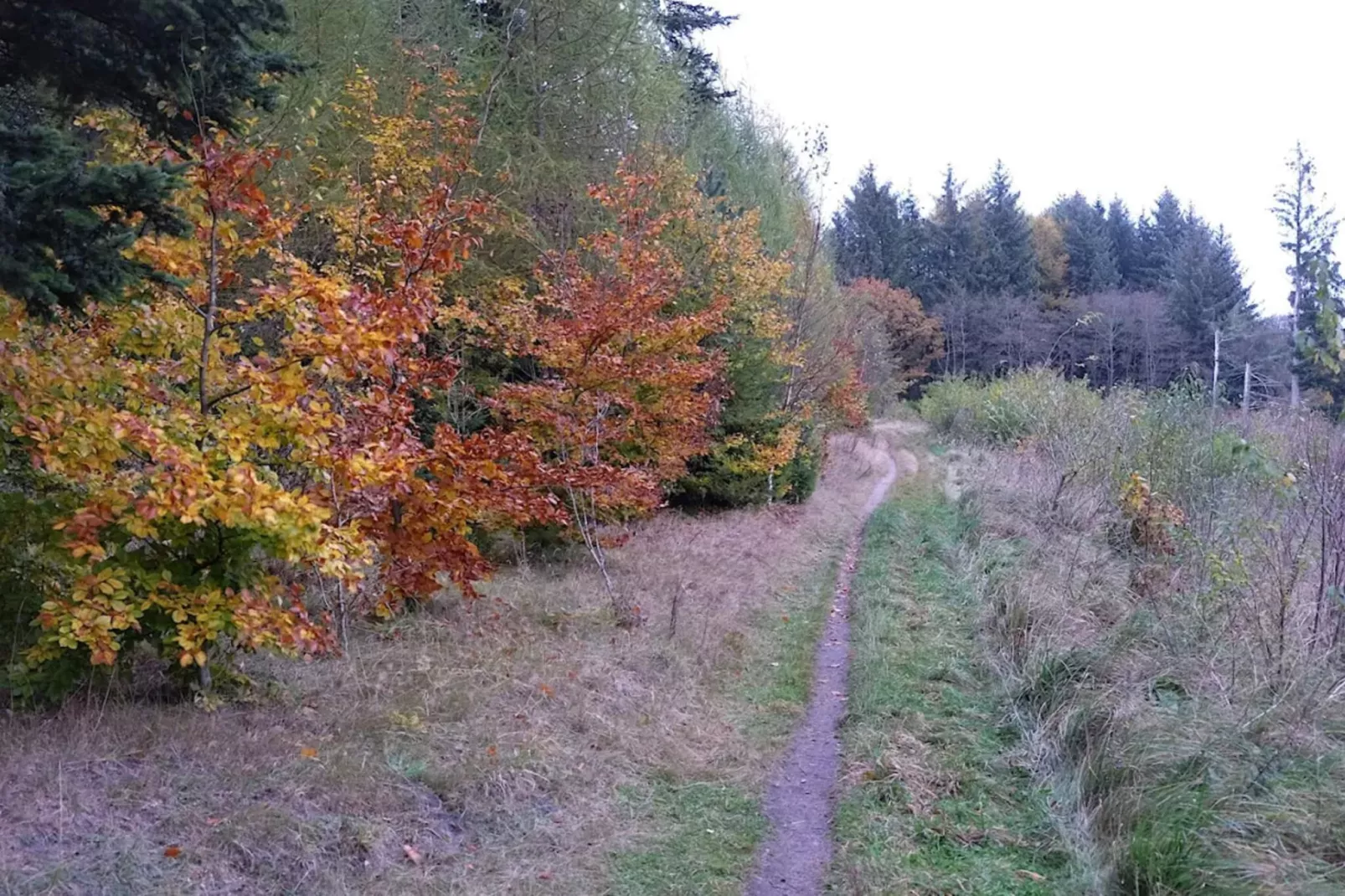 8 persoons vakantie huis in Gjern-By Traum-Niet-getagd