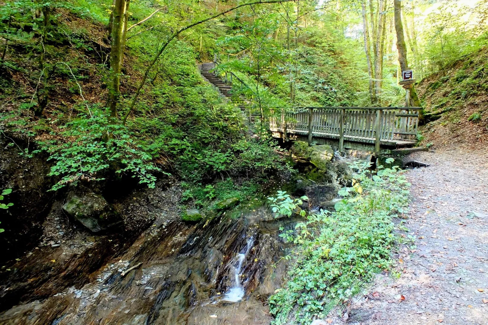 Am Waltenberg 70-MG-Gebieden zomer 5km