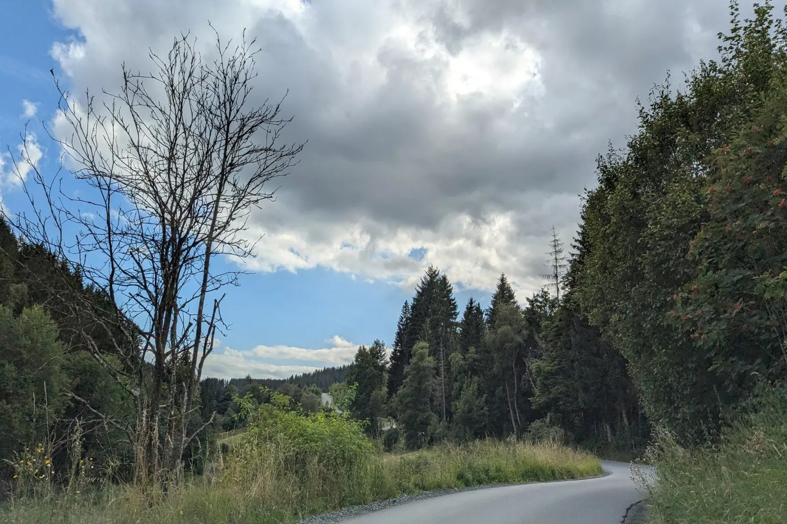 Am Südhang 11-Gebieden zomer 5km