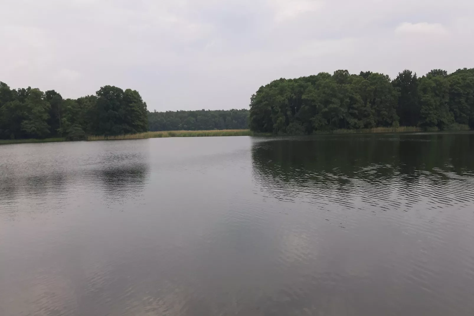 Ferienwohnung 40 qm-Gebieden zomer 5km