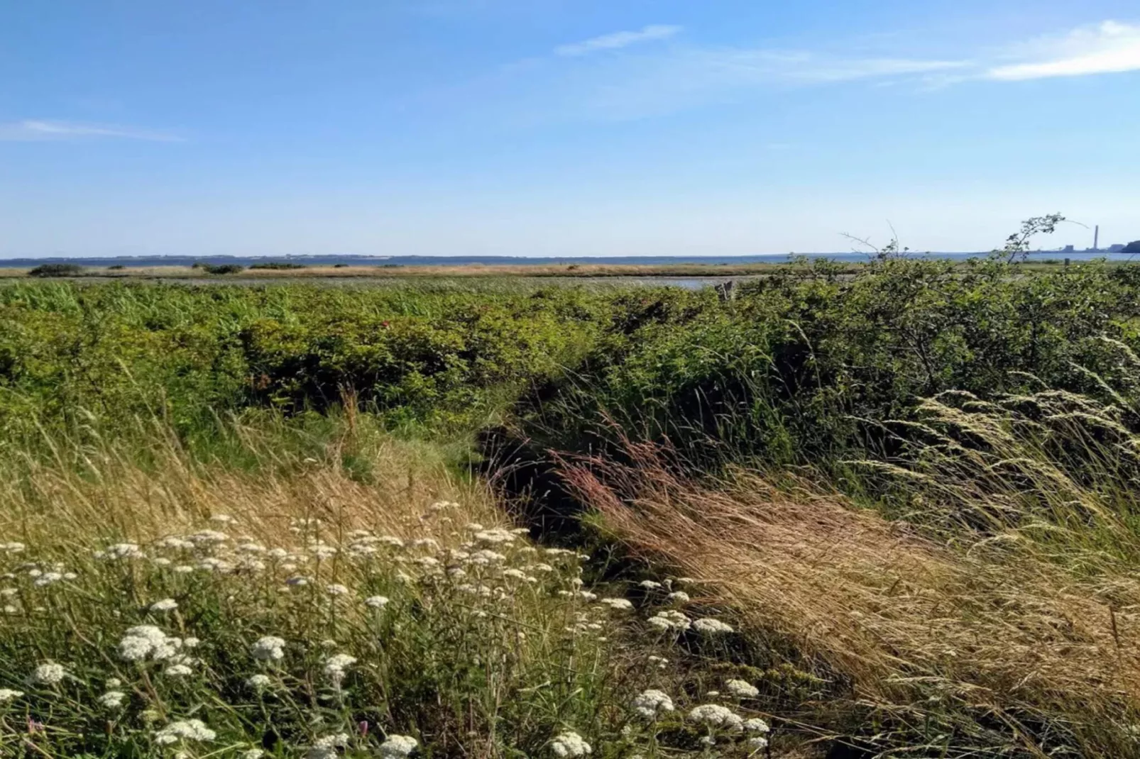 4 persoons vakantie huis in Rønde-By Traum-Waterzicht