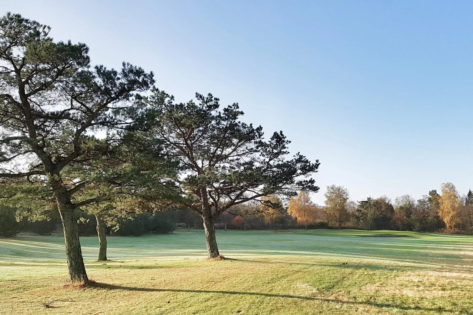 6 persoons vakantie huis in Nibe-By Traum-Niet-getagd