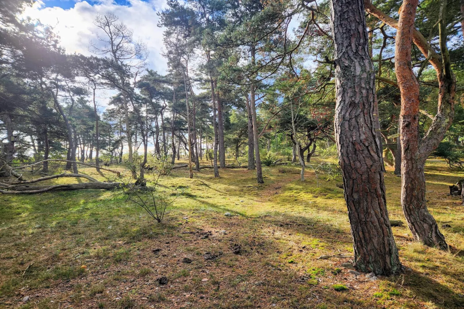 5 persoons vakantie huis in HALTORP-By Traum