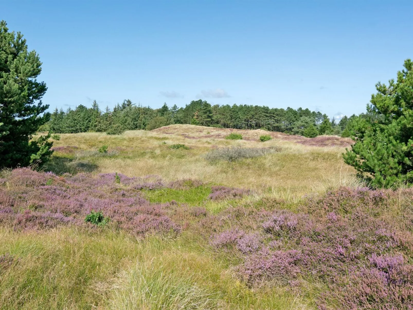 "Siegried" - 2.2km from the sea-Buiten