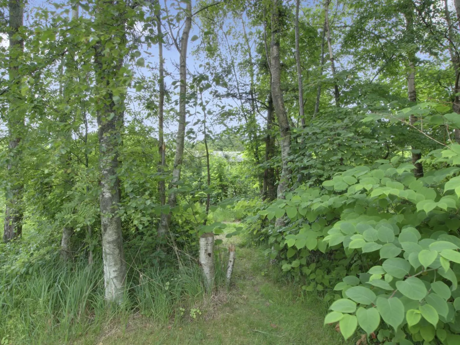 "Gerasim" - 400m from the sea-Buiten