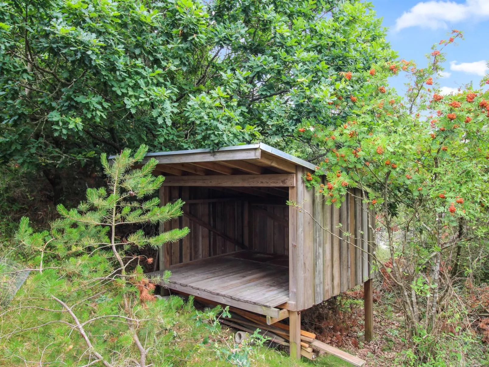 "Svenja" - 600m from the sea-Buiten