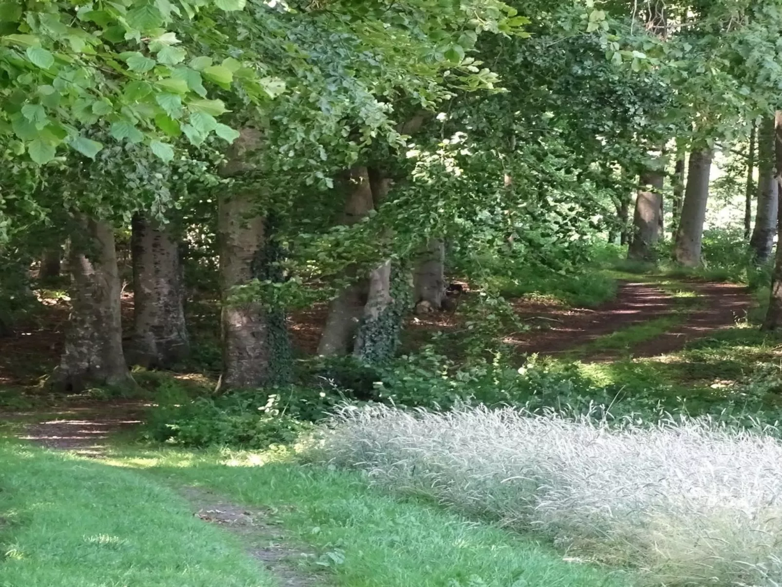 "Veselin" - 100m from the sea-Buiten