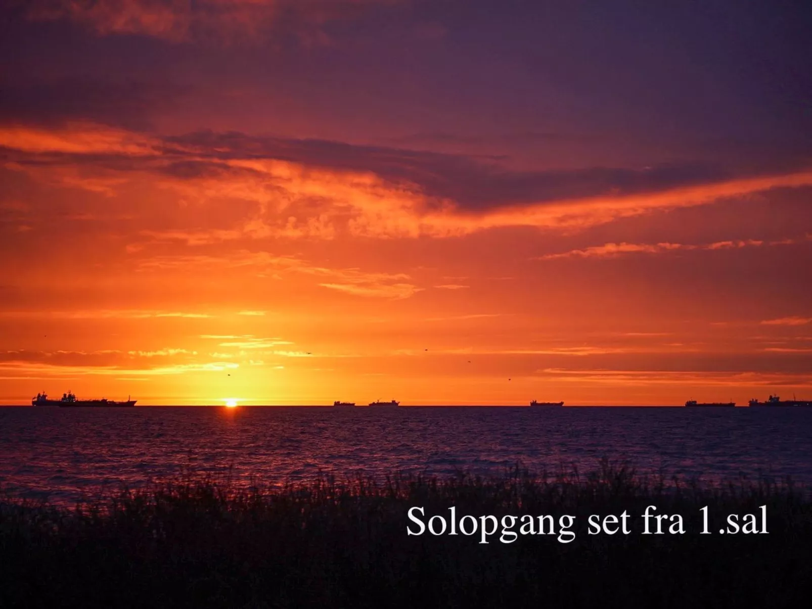 "Ingwald" - 50m from the sea-Buiten