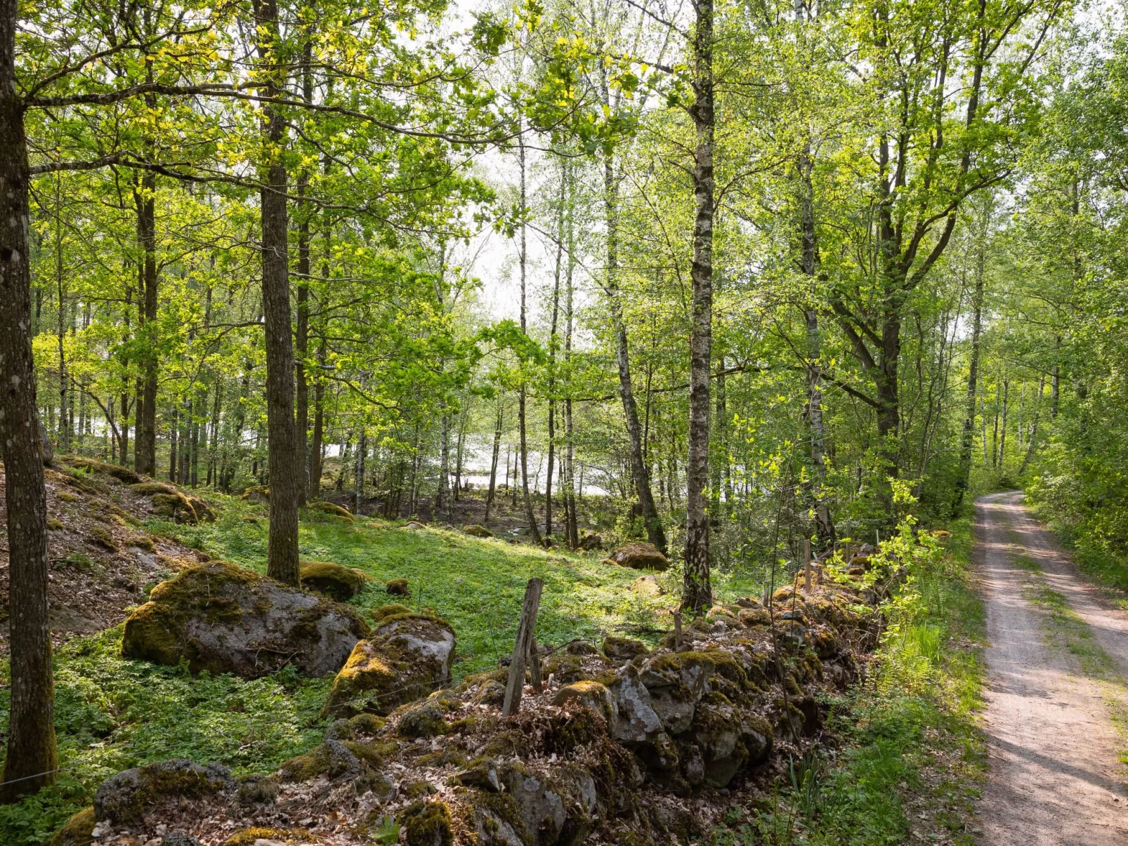 Angsjö Torp (BLE047)-Buiten